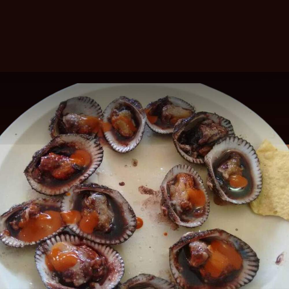 Pata de Mula en su concha - Image 2